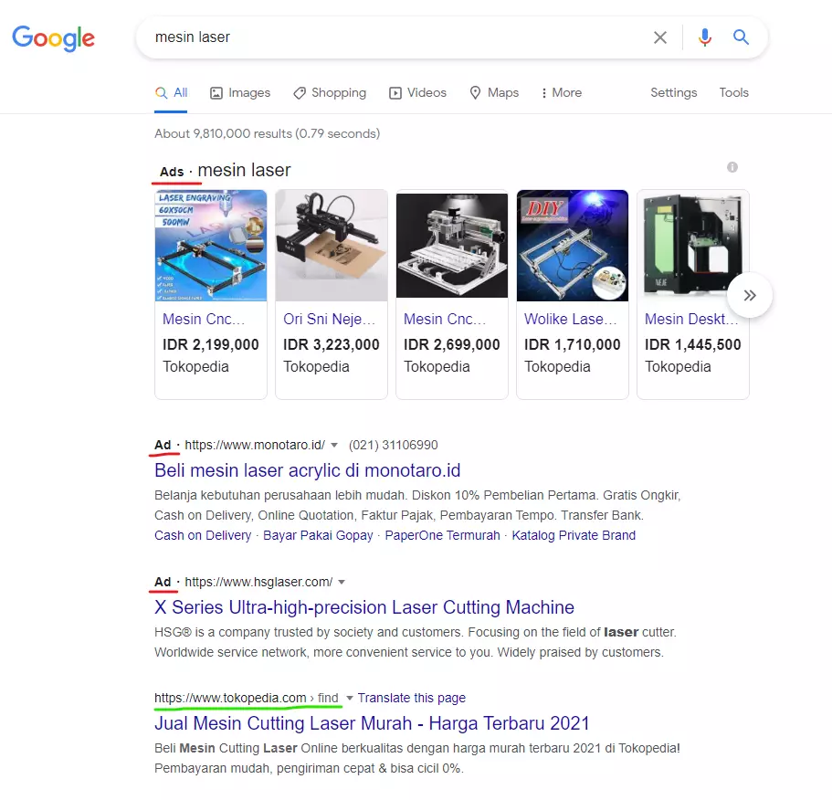 Apa itu SEO? 10 Hasil Organik Hasil Berbayar