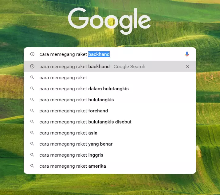 Apa itu SEO? 22 cara memegang raket